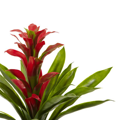 15'' Faux Flowering Plant