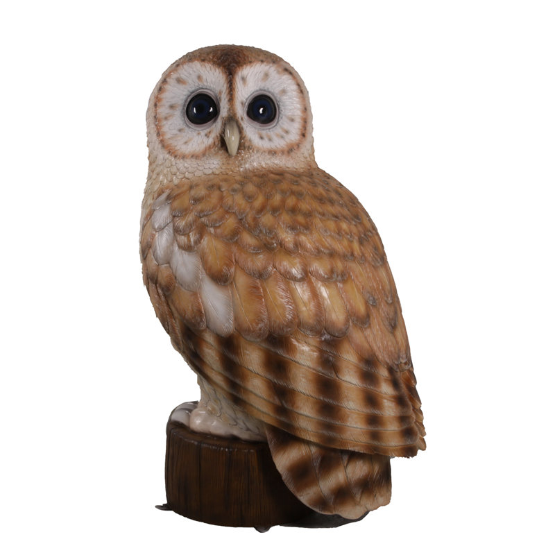 Hibou fauve Graig