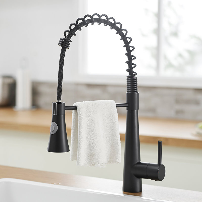 Robinet de cuisine noir avec bec rétractable - remplissage en céramique pour des tâches exigeantes et durables, Matte Black