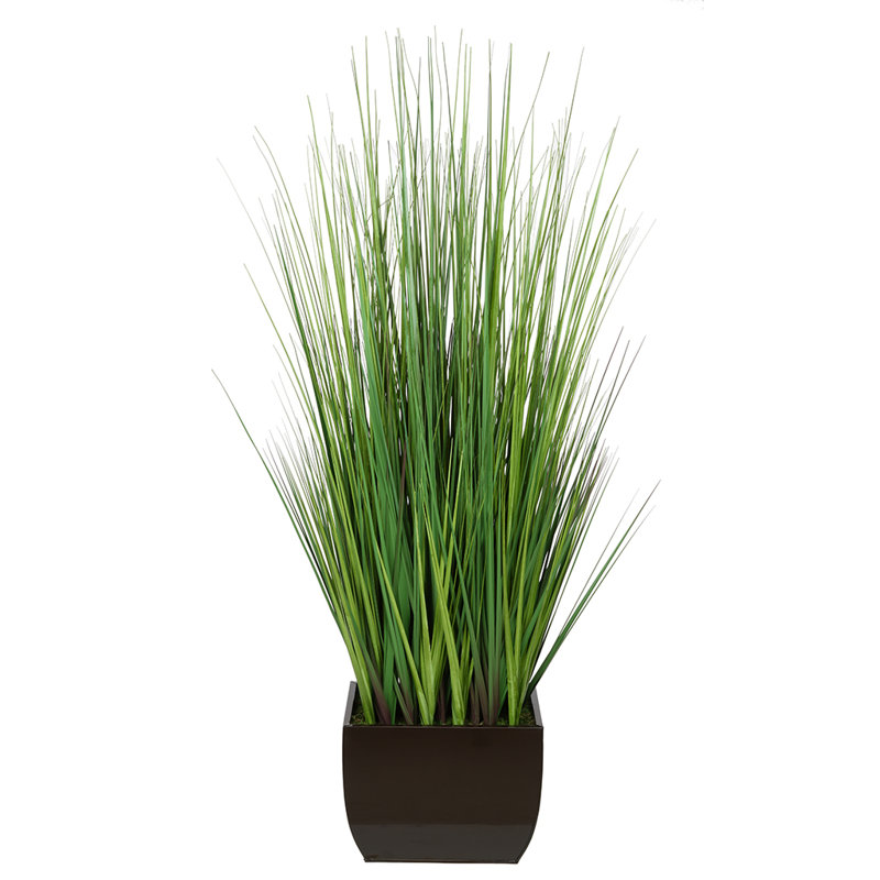 Herbe à feuillage en pot 50 po, Brun brillant