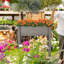 Lit de jardin surélevé avec pieds, jardinière en bois surélevée pour plantes d'extérieur