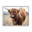 Portrait de bovins qui broutent des cornes par Amy Brinkman-70682677-70682679