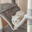 206cm H Cat Tree-105628841-57341744
