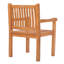 Catriona Outdoor Teak Dining Armchair