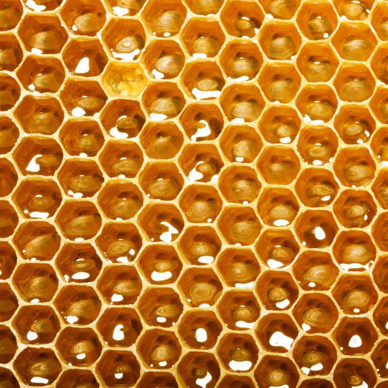 Honeycomb by Smaglov - Wrapped Canvas Print, 122cm H x 122cm W x 3.8cm D