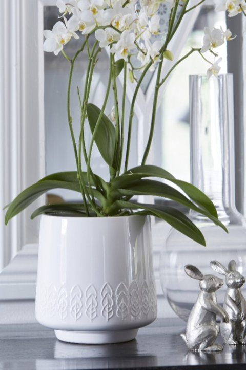 Planters