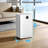 Electactic 24 Pints Dehumidifier, 9 Pints Doe, R290 Refrigerant, Auto Defrost, Quiet ≤38db