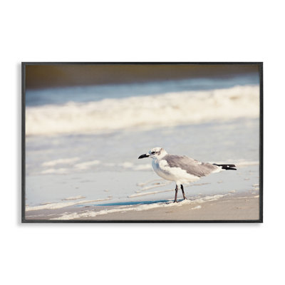 «Seagull Stepping on Shore», estampe numérique par Susan Bryant