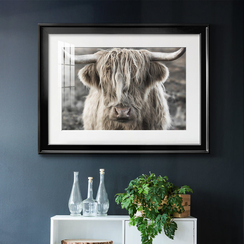 Highland Skye, reproduction d'art encadrée, Noir, H 19 po x l 27 po x P 1,5 po