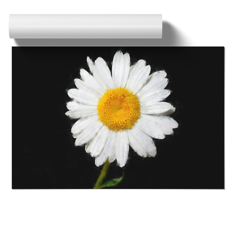 White Daisy Painting - Frameless Print, 42cm H x 59cm W x 0.1cm D