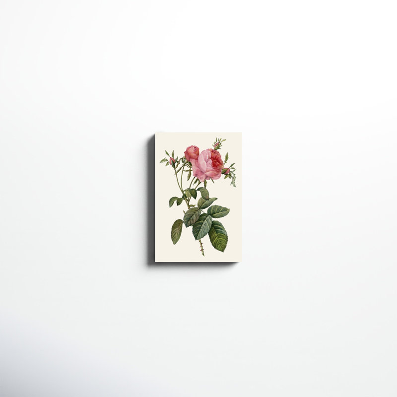 «Redoute's Rose II», peinture sur toile, H 18 po x l 12 po