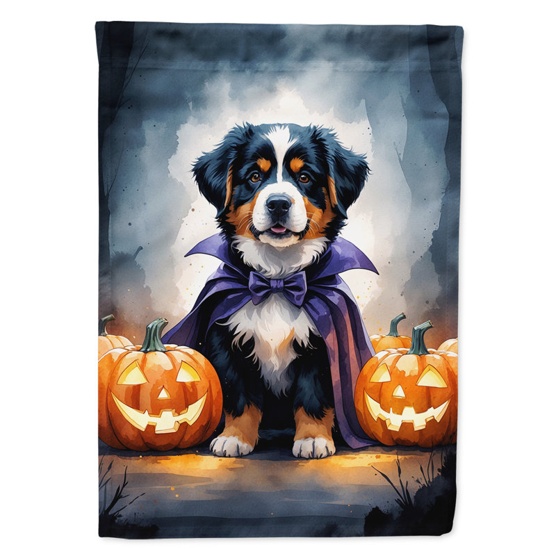 Puppy Halloween Garden Flag, Bernese Mountain Dog