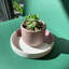 Pot à fleurs en béton Ida-70789158