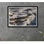Frozen Falls Framed Photographic Print