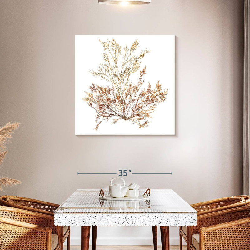 Pacific Sea Mosses VIII White, 36" H x 36" W