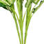 Plante de feuillage artificiel en marbre dieffenbachia