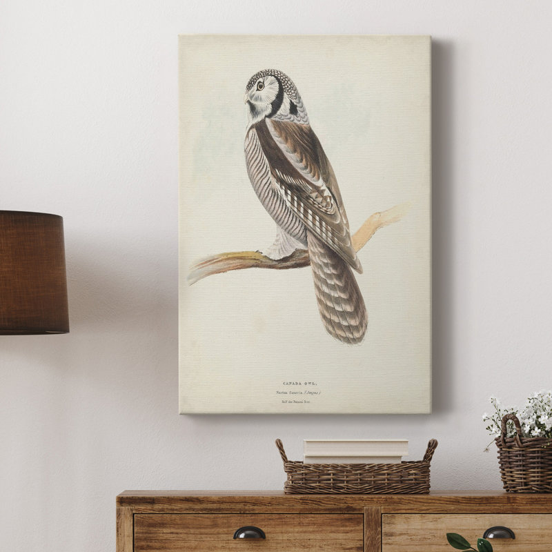 Canada Owl - impression sur toile tendue, H 12 po x l 8 po x P 1 po