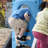 Jouet d'escalade pour tout-petits Step2 Scout & Slide