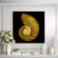 Nautilus On Black Print by Harold Davis-26933207-26933210