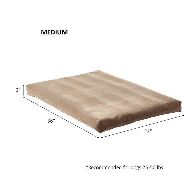 Tapis de caisse Cooper Deluxe, Moyen (l 36 po x P 23 po x H 3 po), Café au lait