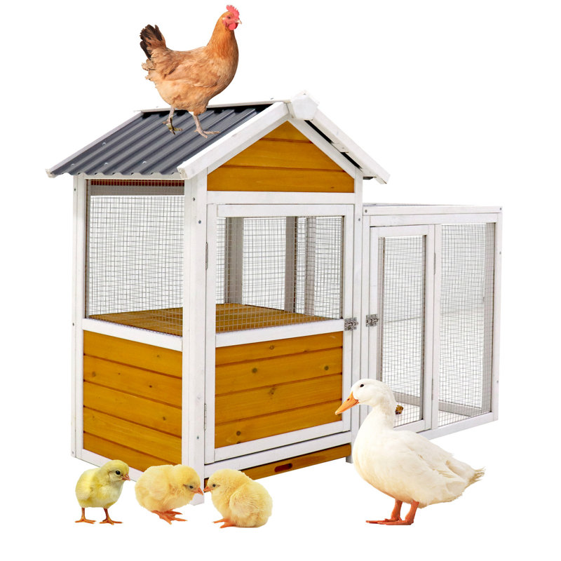 Grande cage à ara en bois - Poulailler, canard, cage à lapin, H 37,79 po x l 47,53 po x P 23,78 po