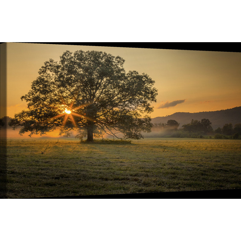 « out on a membre », reproduction de photo sur toile tendue Country Colors, H 24 po x l 36 po x P 2 po