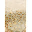 Baku Hand Knotted Wool Oriental Area Rug in L. Blue