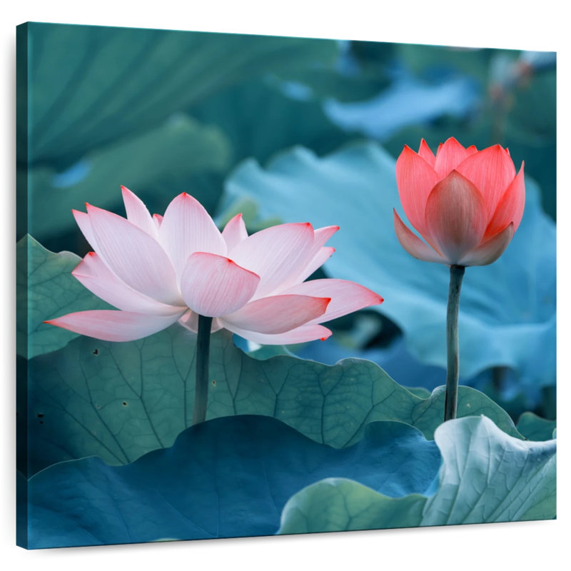 Harnek captivant des fleurs de lotus, H 30 po x l 30 po