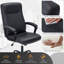 Mitsuo Executive Chair