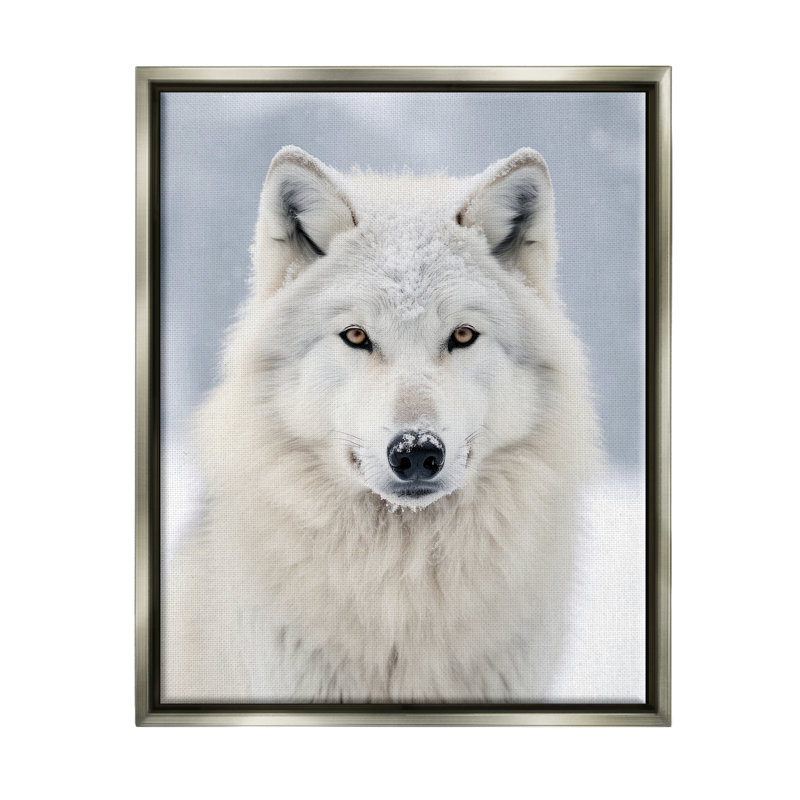 «White Wolf In Snow», reproduction encadrée sur toile par Ray Powers, H 21 po x l 17 po x P 1,7 po