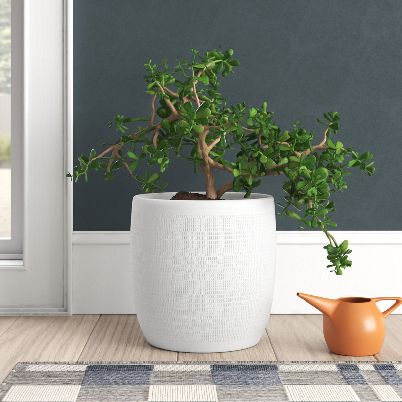 Marcial Ceramic Pot Planter, Black