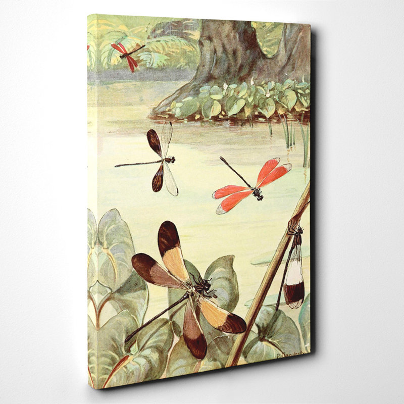 Paul Flanderky - Wrapped Canvas Painting, 60cm H x 40cm W