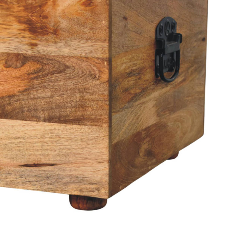 Beige Buffalo Hide Leather Storage Trunk