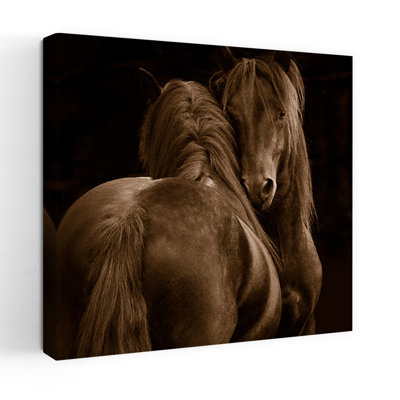 Art animalier, tendresse et cheval