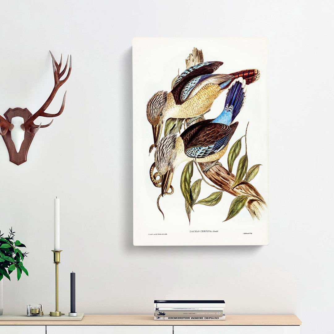Fawn-Breasted Kingfishers by Elizabeth Gould - Wrapped Canvas