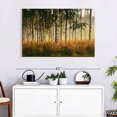 Harnek Grassy Birch Forest