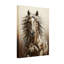 Portrait d'animaux avec crinière fluide et regard intense-752649173-752649172-752649178