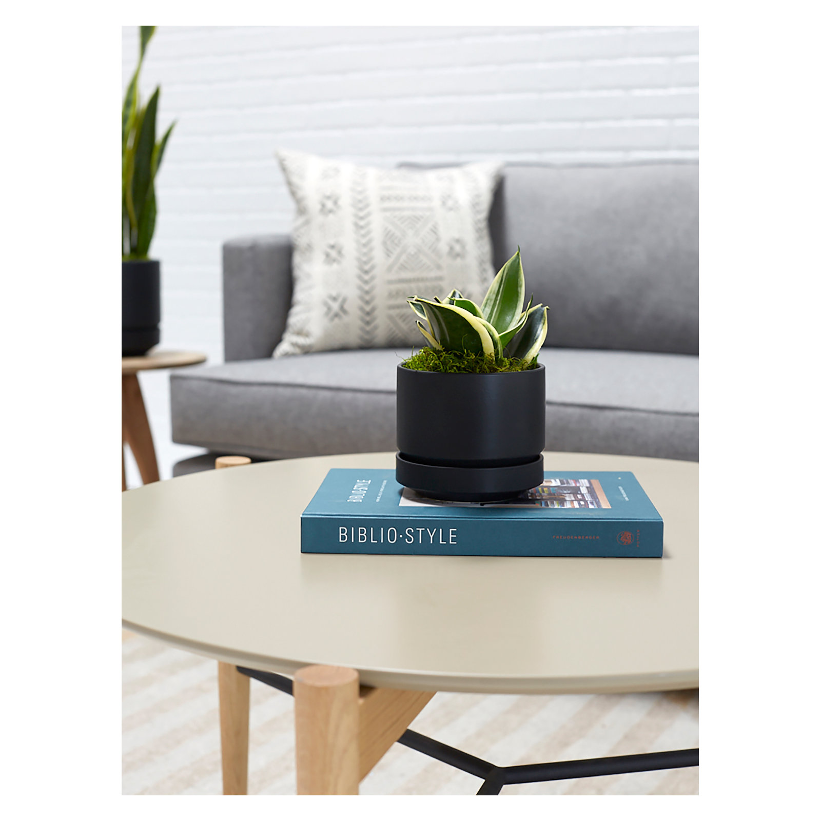 Byer Handmade Ceramic Pot Planter, Black, 6" H x 7" W x 7" D