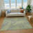 Premium Machine Washable Vaseem AMF117 Rug-153693031