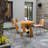 Set of 4 Modern Striped Color Block Chairs – PP Plastic Seat with Sturdy Metal Legs