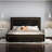 Deovion LED Upholstered 4-Drawer Platform Bed-577989015-585992397
