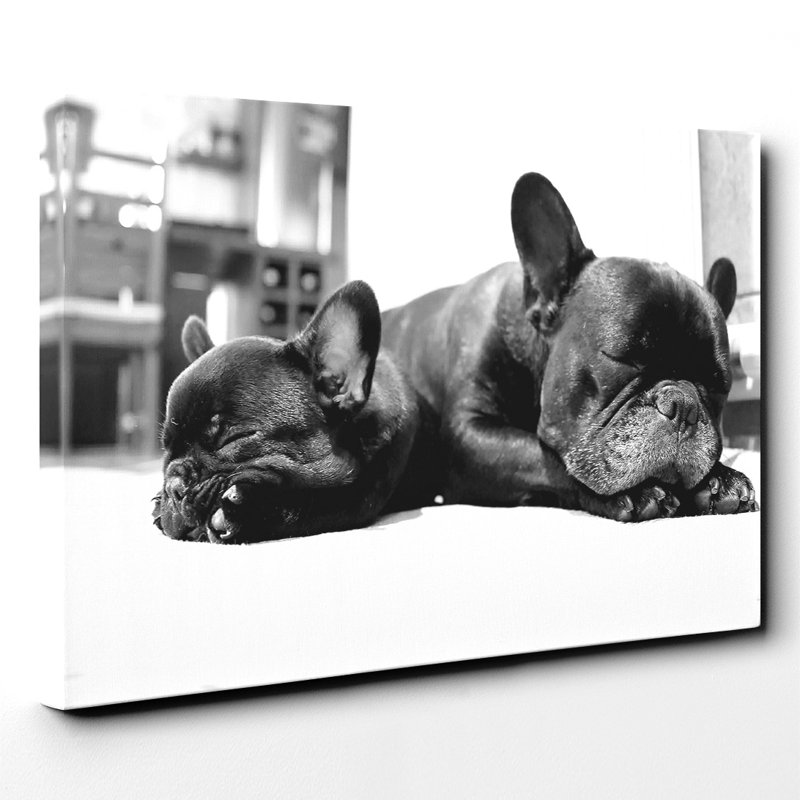 Wrapped Canvas Print, 50cm H x 76cm W