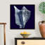 « Indigo shells I » par vision studio-impression-1160195867-1160195840