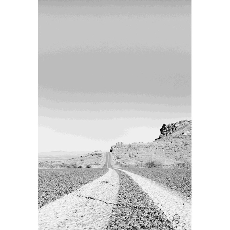 «Into the Desert» par Nathan Larson - reproduction, H 18 po x l 12 po, Non, Toile argentée avec cadre flottant