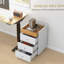 Armoire de rangement à tiroirs pour bureau à domicile, tiroir de bureau sur roulettes avec plateau amovible, support pour imprimante sous le bureau avec rangement,