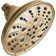 Rain Dual Shower Head with H2Okinetic Technology