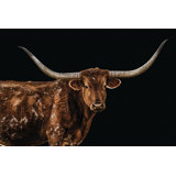 Bigger In Texas Print by Adam Mowery