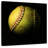 Sireci Dark Softball-109393879