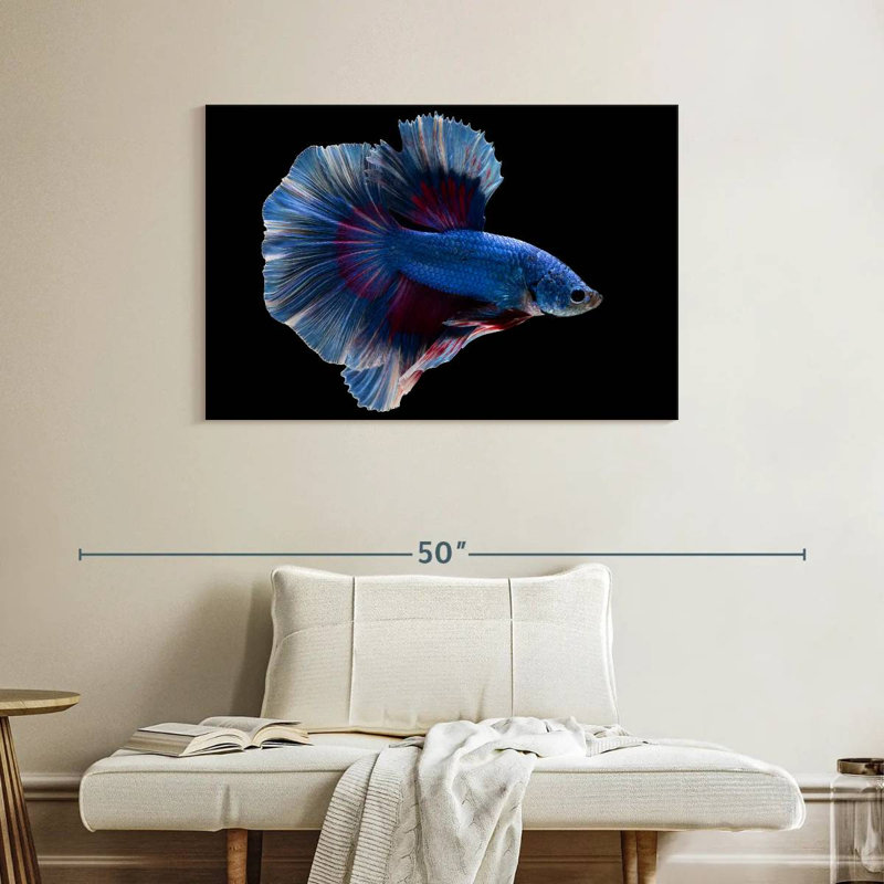 Elegant Blue Betta, 26" H x 39" W