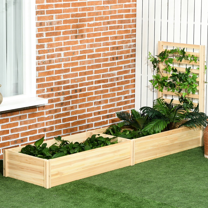 43 Inch Wooden Raised Garden Bed With Trellis, Suited To Outdoor Plants, Veggies, Flowers, Herbs, Easy Assembly Technique, Natural Tone Process, Tint